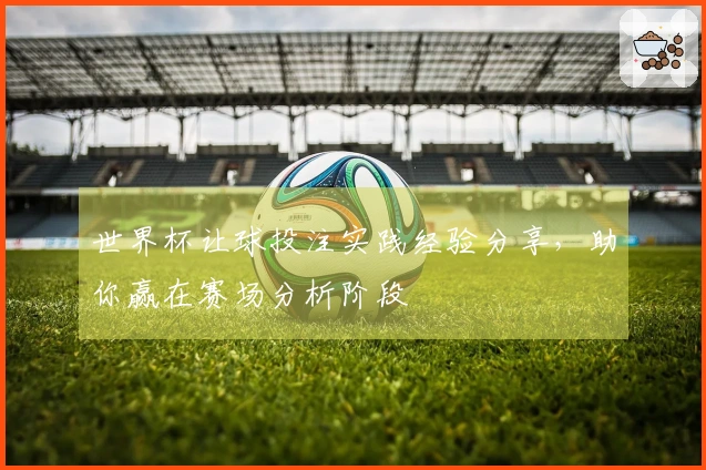 世界杯让球投注实践经验分享，助你赢在赛场分析阶段