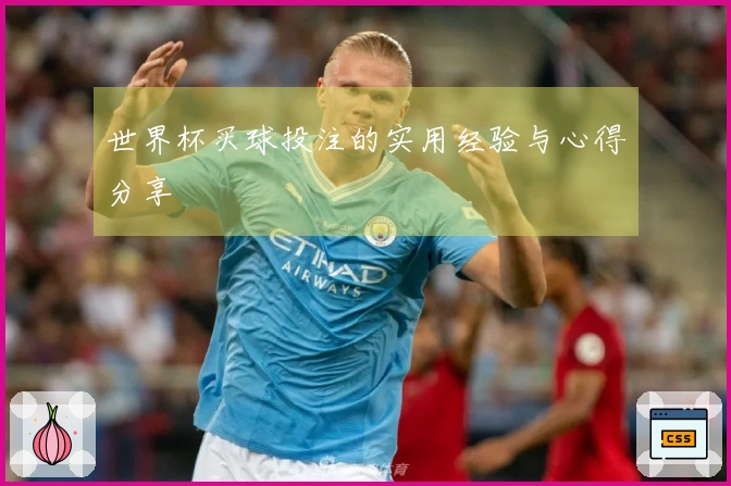 世界杯买球投注的实用经验与心得分享