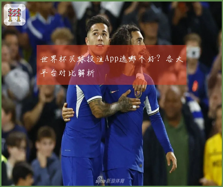 世界杯买球投注App选哪个好？各大平台对比解析
