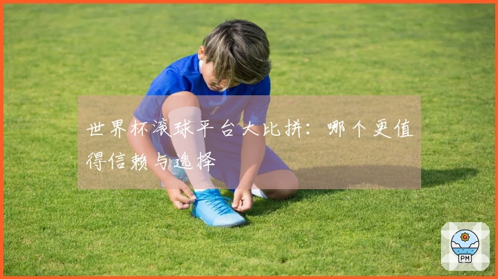 世界杯滚球平台大比拼：哪个更值得信赖与选择