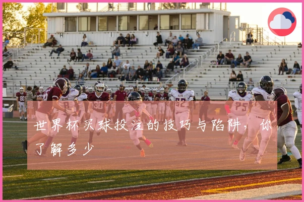 世界杯买球投注的技巧与陷阱，你了解多少