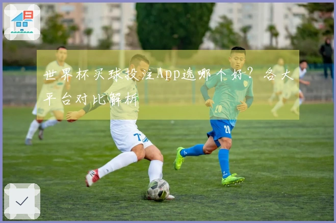 世界杯买球投注App选哪个好？各大平台对比解析