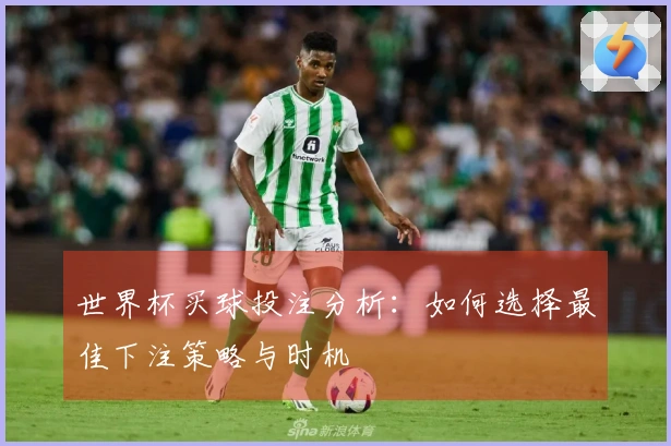 世界杯买球投注分析：如何选择最佳下注策略与时机