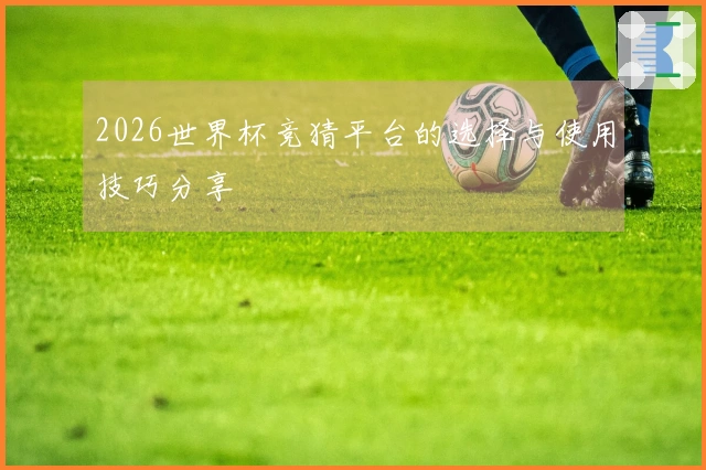 2026世界杯竞猜平台的选择与使用技巧分享
